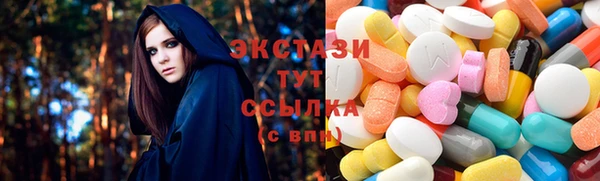 шишки Аркадак