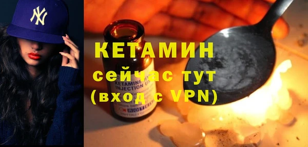 шишки Аркадак