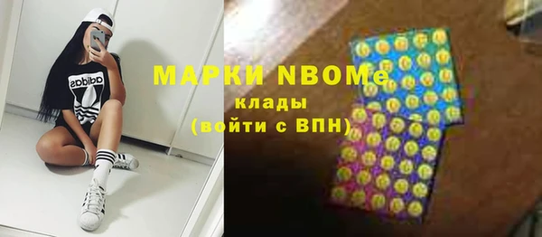 шишки Аркадак
