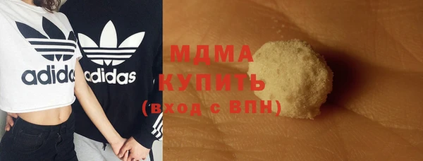молекула духа Арсеньев