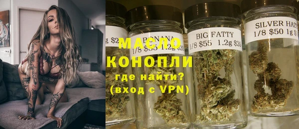 молекула духа Арсеньев