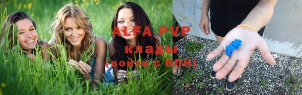 молекула духа Арсеньев