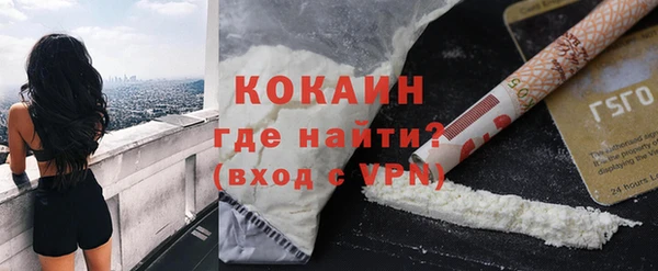 шишки Аркадак
