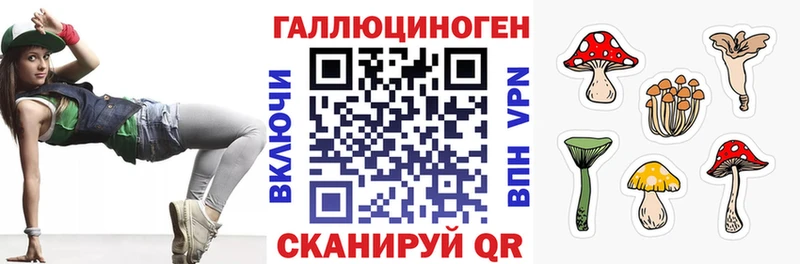 darknet как зайти  Краснообск  Псилоцибиновые грибы мицелий 